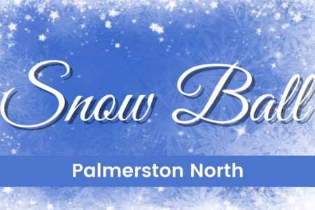 Pn Snow Ball Homescreen Website Banner 2022 Kd